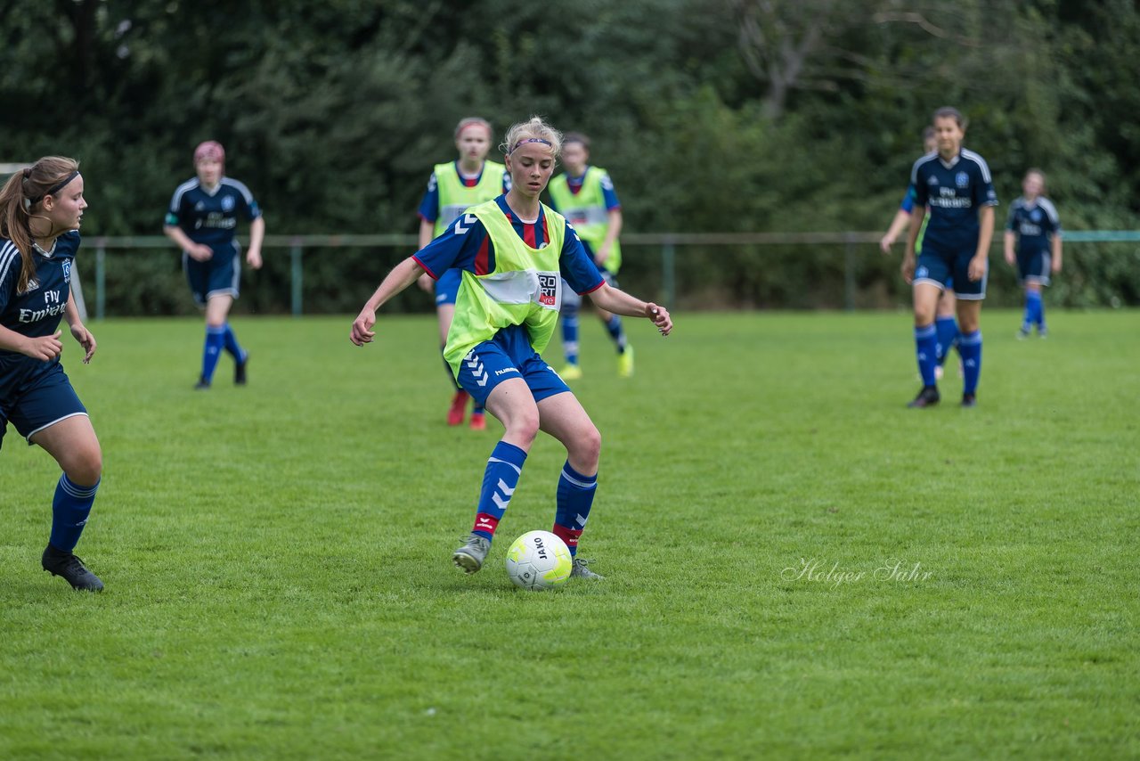 Bild 320 - B-Juniorinnen VfL Pinneberg - HSV : Ergebnis: 1:4